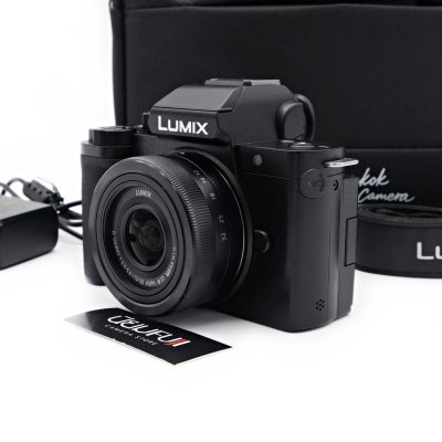 Lumix G100