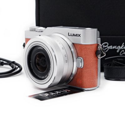 Lumix GF9