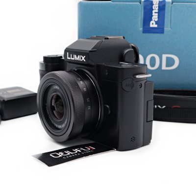Lumix G100D