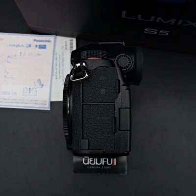 Lumix S5