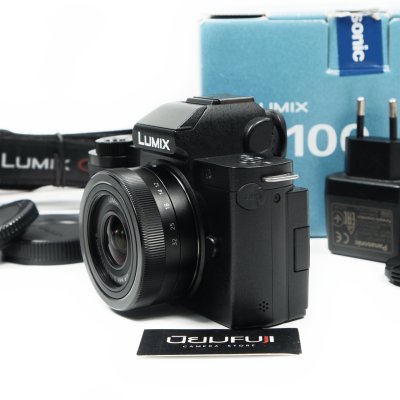 Lumix G100