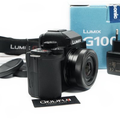 Lumix G100