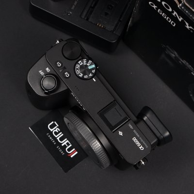 Sony A6600