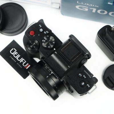 Lumix G100