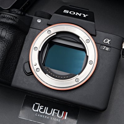 Sony A7III Body