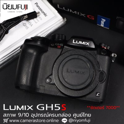 LUMIX GH5s