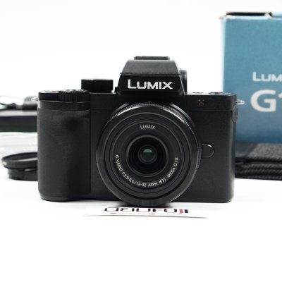 Lumix G100