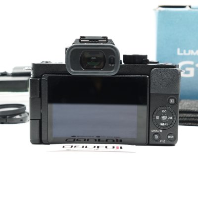 Lumix G100