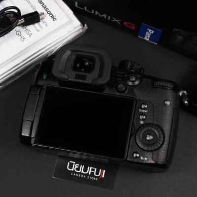 LUMIX GH5s