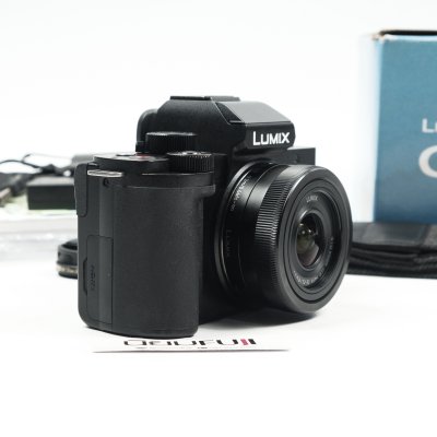 Lumix G100