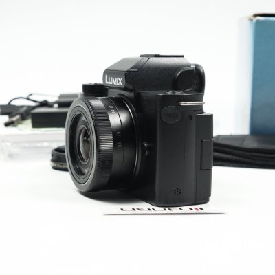 Lumix G100
