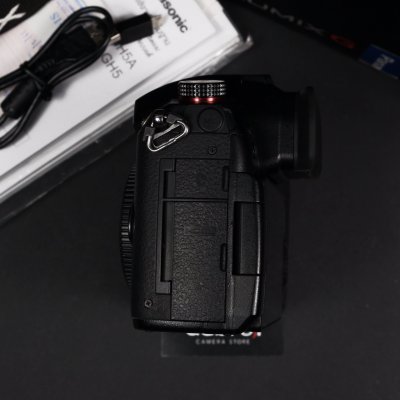LUMIX GH5s