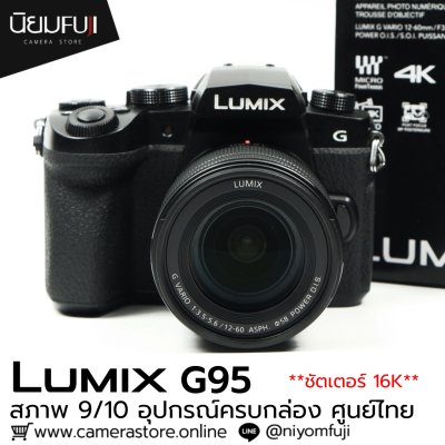 Lumix G95