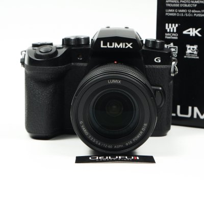 Lumix G95