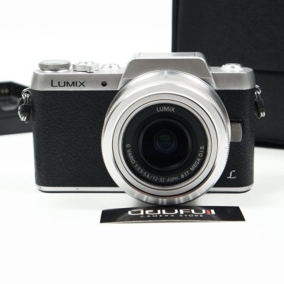 Lumix GF8