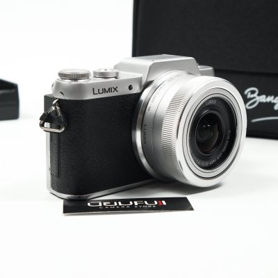 Lumix GF8