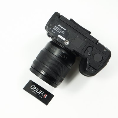 Lumix G95