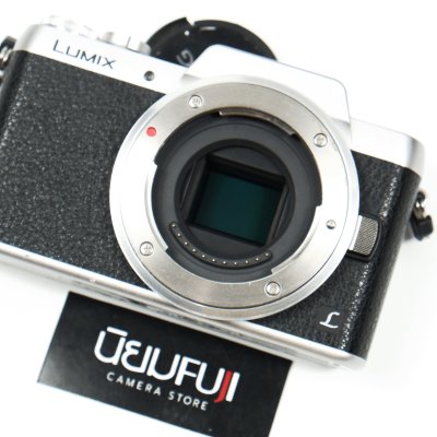 Lumix GF8