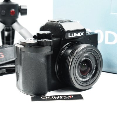 Lumix G100D