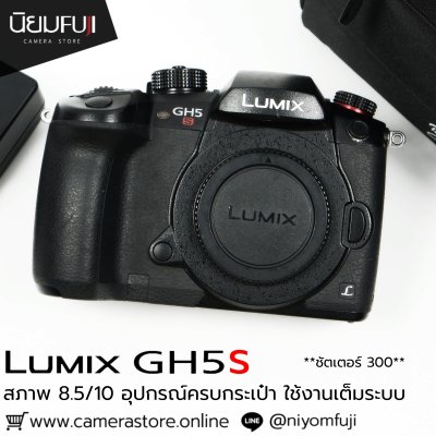 Lumix GH5s