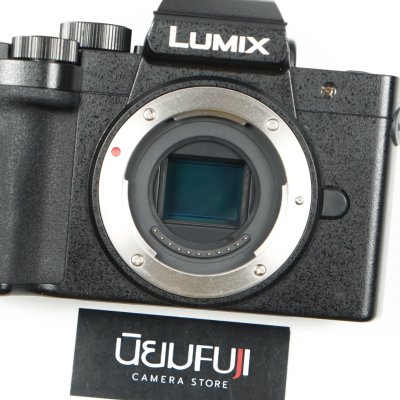Lumix G100D