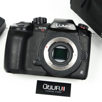 Lumix GH5s