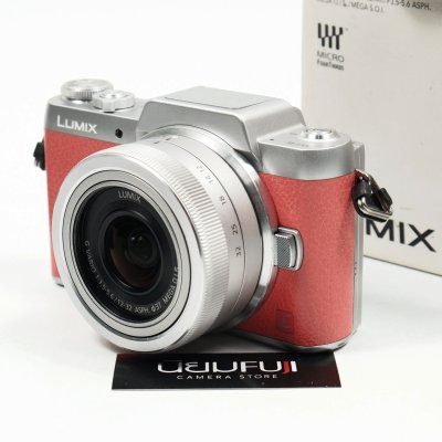 Lumix GF8