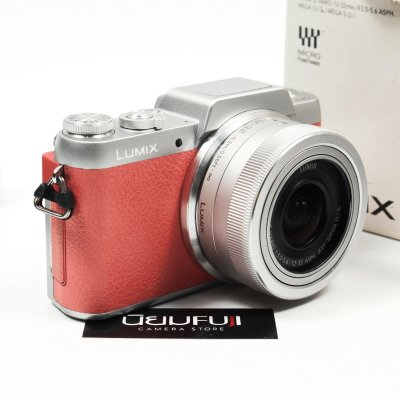 Lumix GF8