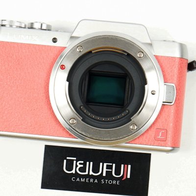 Lumix GF8