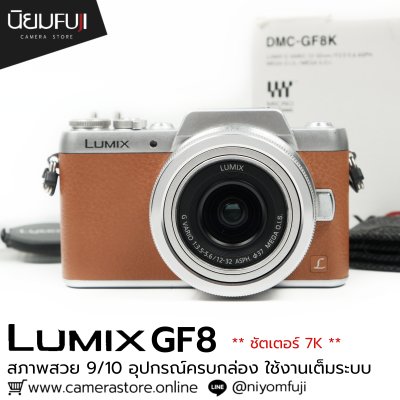 Lumix GF8
