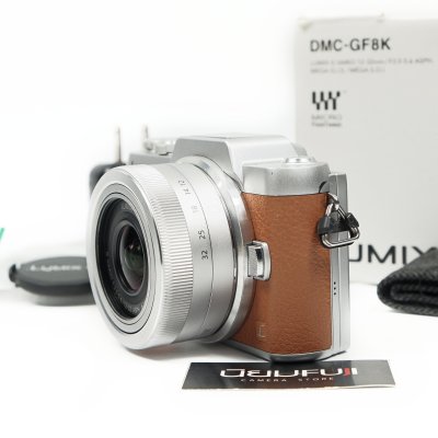 Lumix GF8
