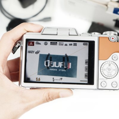 Lumix GF8