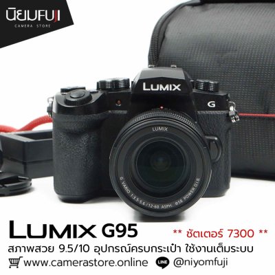 Lumix G95