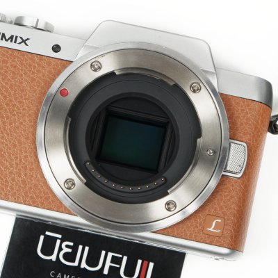 Lumix GF8