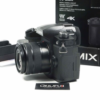 Lumix G90