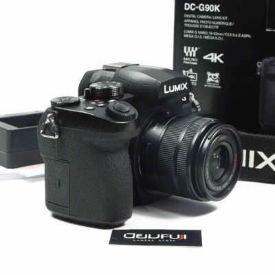 Lumix G90