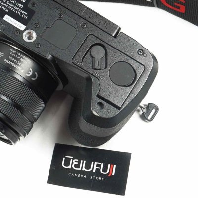 Lumix G90