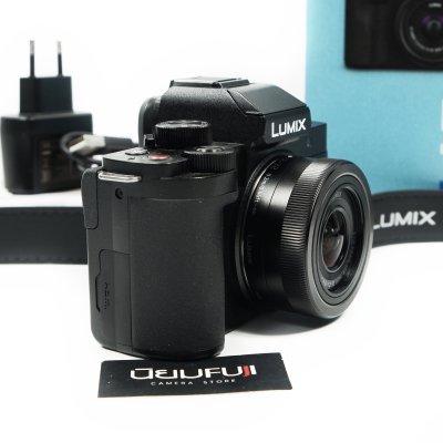 Lumix G100D