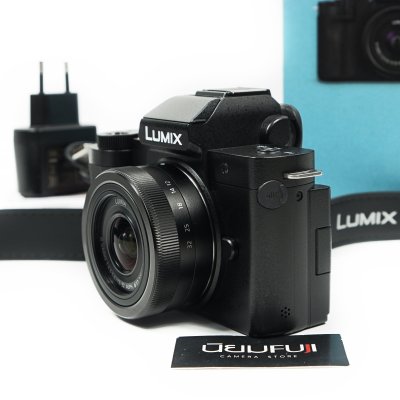 Lumix G100D
