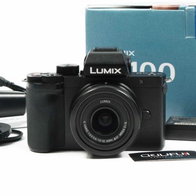 Lumix G100V