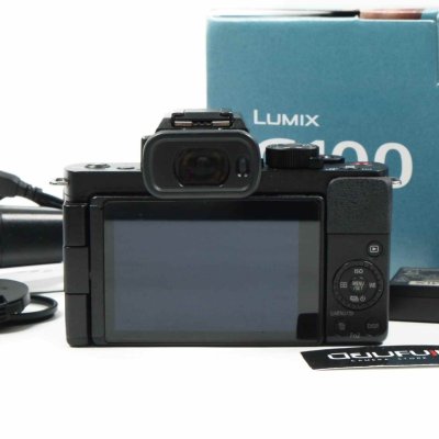 Lumix G100V