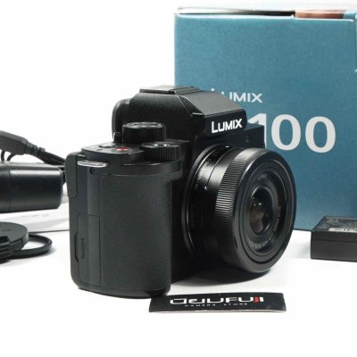 Lumix G100V