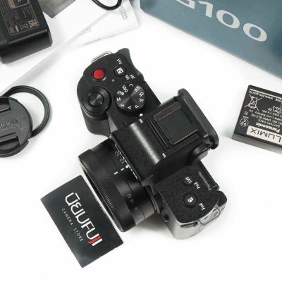 Lumix G100V