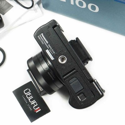 Lumix G100V