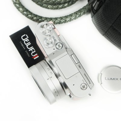 Lumix GF9