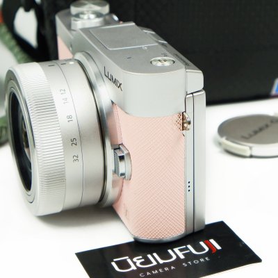 Lumix GF9