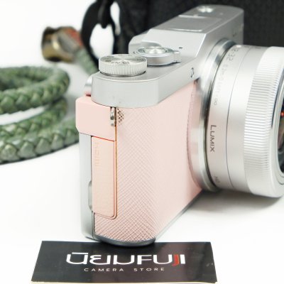 Lumix GF9