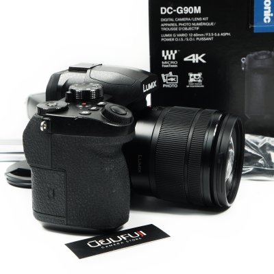 Lumix G90