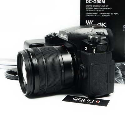 Lumix G90