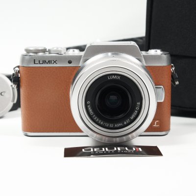 Lumix GF8